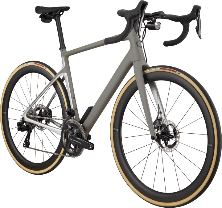 Synapse Carbon 1 RLE